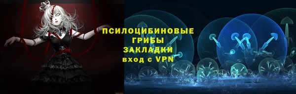 мяу мяу мука Горняк
