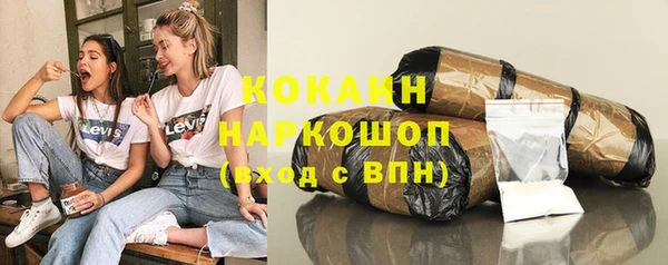 индика Гусь-Хрустальный