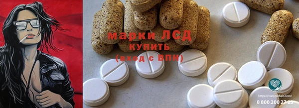 индика Гусь-Хрустальный