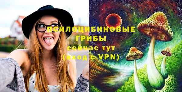 индика Гусь-Хрустальный