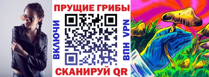 Псилоцибиновые грибы Psilocybe  Купить  Каменногорск 